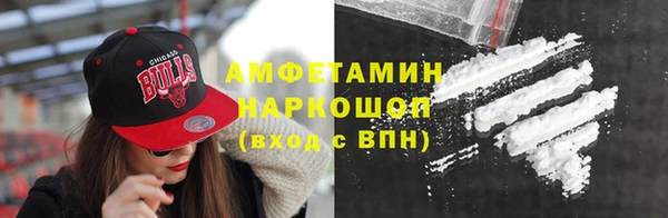 индика Алзамай