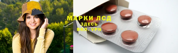 индика Алзамай
