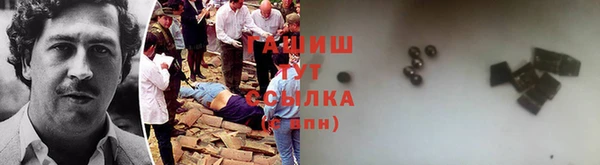 индика Алзамай