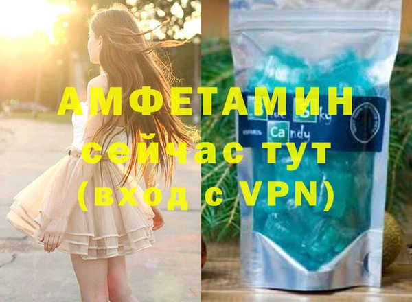 индика Алзамай