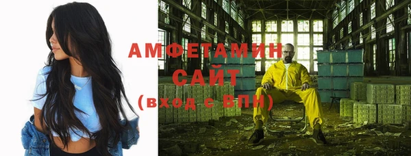 индика Алзамай