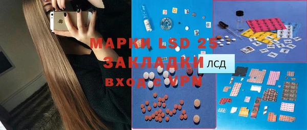 индика Алзамай